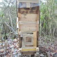 「上桟式巣箱群」をお譲りします