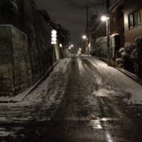 東京に雪が積もったよ