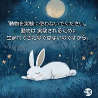 動物実験をやめて!