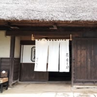 白川湖の水没林　2025