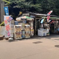 東照宮第一商店と鶯団子と動物園の風景