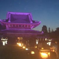 国宝瑞龍寺ライトアップ　春の特別夜間拝観「光彩陸離」