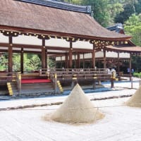 2025　上賀茂神社 夏越大祓式