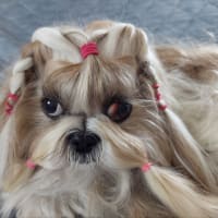 凛ちゃんのお目目が…
