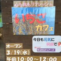 直売所　キヤッセ羽生にできました！！　＆　カフェいちご