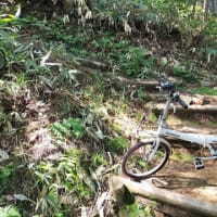 白川郷　飛騨高山ドライブ旅