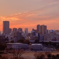 腹部大動脈解離から1年経ちました