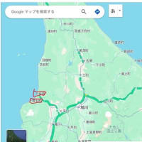 増毛