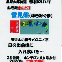 鮎毛バリ販売中、石川県白山市JA白山ファーマーズマーケット　よらんかいねぇ広場で販売中