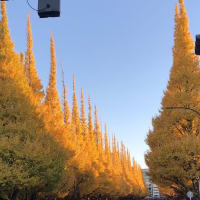 Tokyo Christmas Market 2024