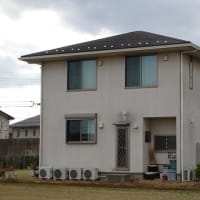 外壁の色