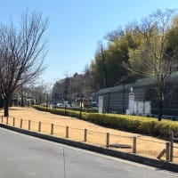 生気勃勃（せいきぼつぼつ）