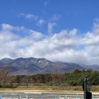 12月31日（2024年を振り返る）