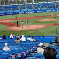 ２０２５年東京六大学野球初観戦