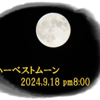 結浜8歳誕生日 ＆ちりめんのお稽古 ＆ 今夜の満月ハーベストムーン ＆ PC復習