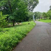 小雨歩き