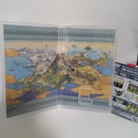 ポケットモンスターアルセウスを買いました。