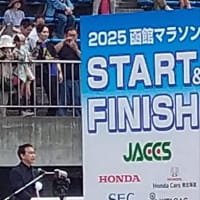 曇り空に助けられた函館マラソン