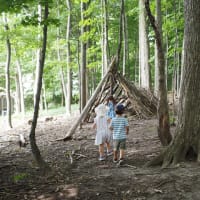 森へお散歩