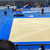 全日本体操個人総合選手権