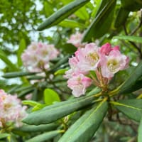 6.28秋駒〜長〜い一日〜