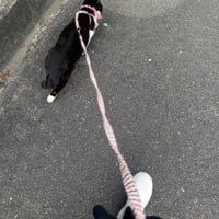 たべて　あるいて。