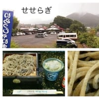 鹿沼そば「せせらぎ」のもりそば。