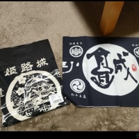 ついでに姫路城