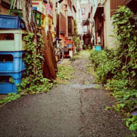 あんまりいい天気じゃない　昨日も今日も此れから先も