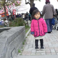もむ子隅田公園で桜を見てお友達に会う