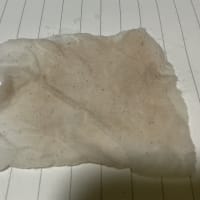 汚い
