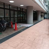 麻布小へみんなの桜を合体の続きと枝付け