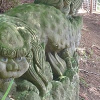 小林和平の狛犬に会いたくて