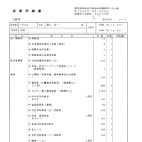 不整脈「カテーテルアブレーション治療（手術）」後の定期検査（2025）・・・姶良市加治木町「さんのう内科」「