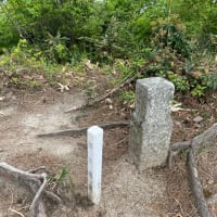 玉峰山登山