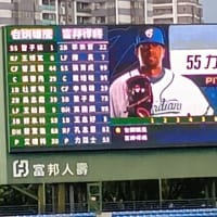 中華職棒__現場觀賽__新莊棒球場__其七