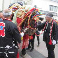 チャグチャグ馬ッコを見学しました♪
