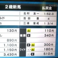 アランカール　圧巻の新馬勝ち！　芝１８００　優勝！！