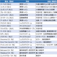 今週は出走ナシ？ いや、ジーベックが行くかも！？