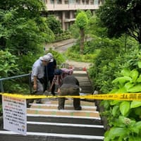 棟の周辺の白線引き直し