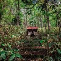 『看取られる神社』