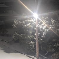 雪