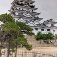 元気です