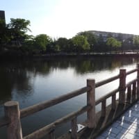 秋田市内朝の散歩
