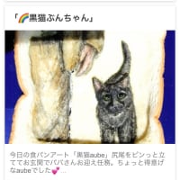 5月9日