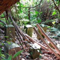 幕末の志士　樋渡八兵衛