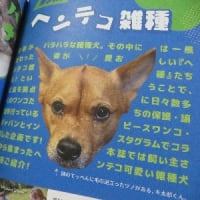 「ＺＡＳＳＨＵ vol.4」届いたよ～