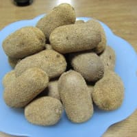 キュウイジャムを作ったよ