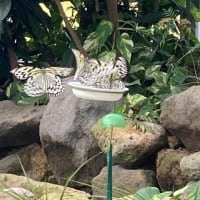 観光ですよ〜
