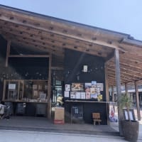 佐田岬ウォーク　ハズレ組のこと